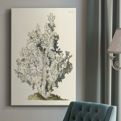 Antique Coral I - impression sur toile tendue