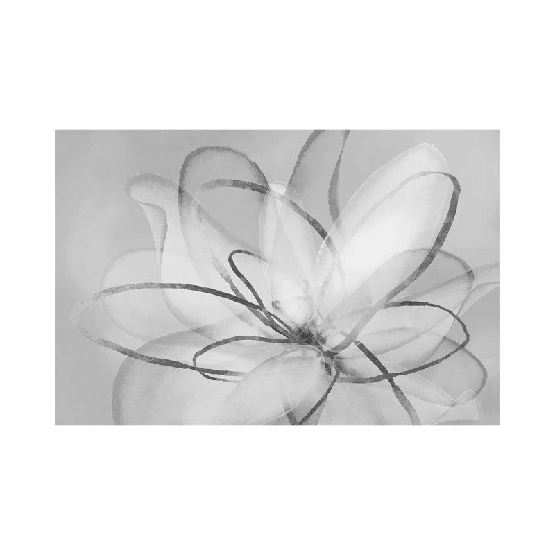 Transparent Transparent III - noir et blanc 3 pièces, H 8 po x l 12 po