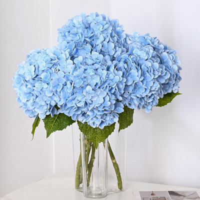 Hortensia