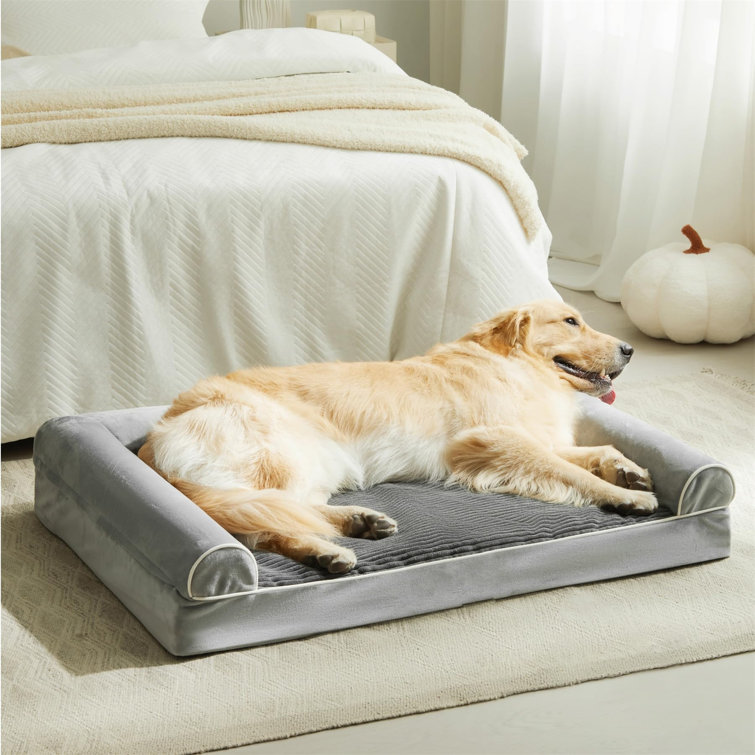Memory Foam Bed Argos Dog Beds Large Dog Beds Argos Dog Sofa Bed