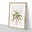 Cuban Palm Tree - Picture Frame Painting Print-56853340-56853341