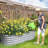 Adker 5 ft x 2 ft Metal Raised Garden Bed-1871628278
