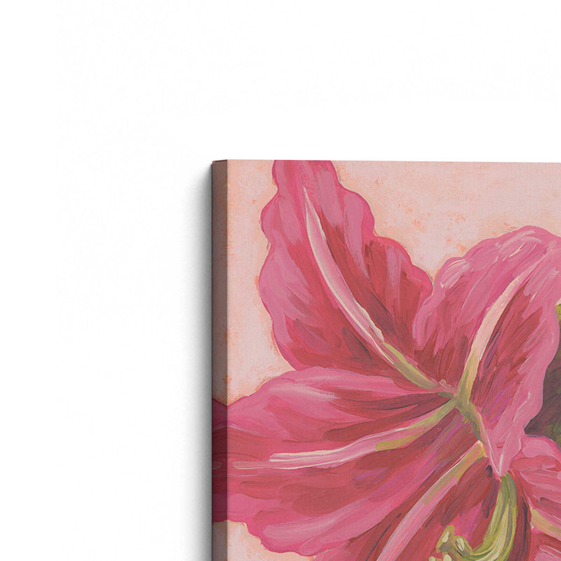«Vibrant Amaryllis II» par June Erica Vess, reproduction d'art sur toile, H 48 po x l 36 po