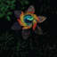 Echo Valley 2119 Illuminarie
