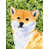 Shiba Inu