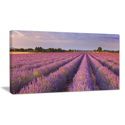 « lavande », reproduction de photo sur toile tendue, "floral rows" en france