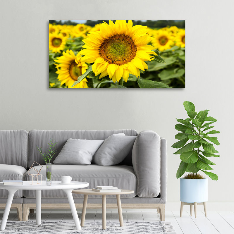 Field Of Sunflowers - Wrapped Canvas Print