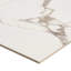 Dreamstone 24X48 Polished Porcelain Tile-2134127263
