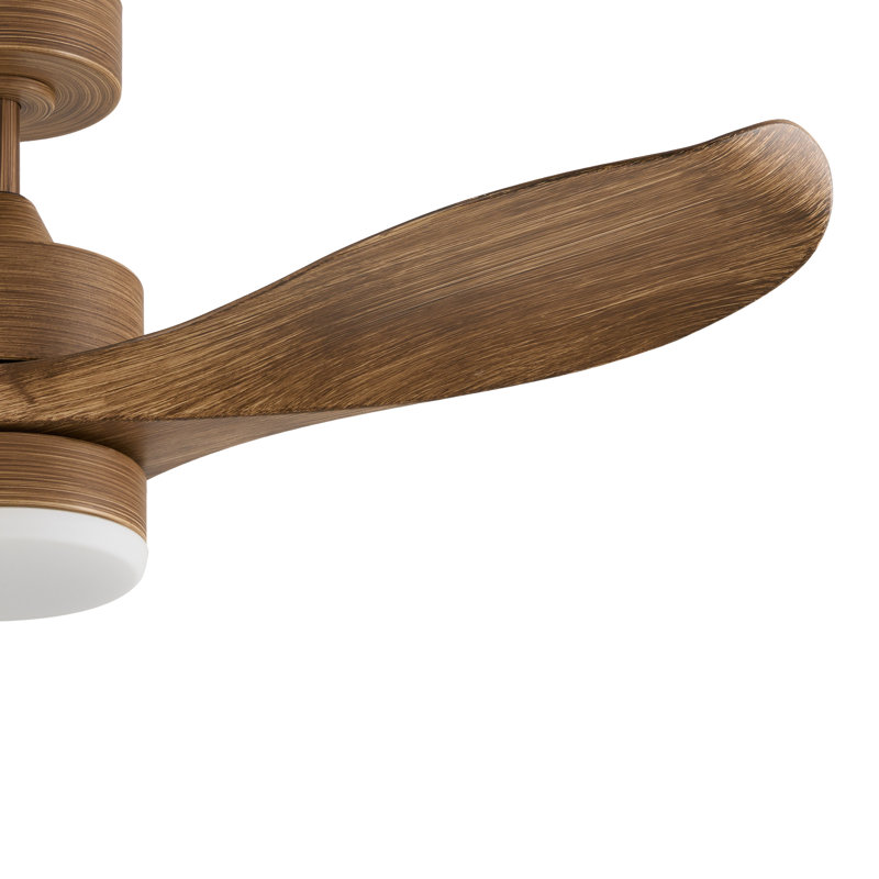 Chantha 42'' Ceiling Fan with LED Lights