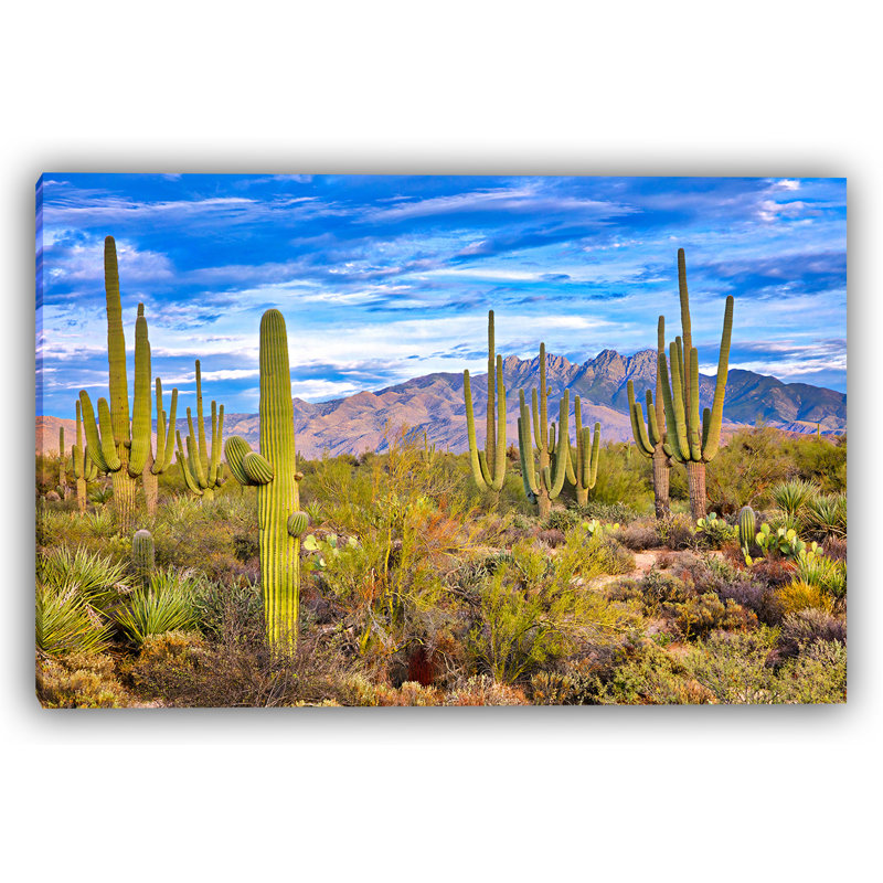 Art sur toile cactus désert majestueux