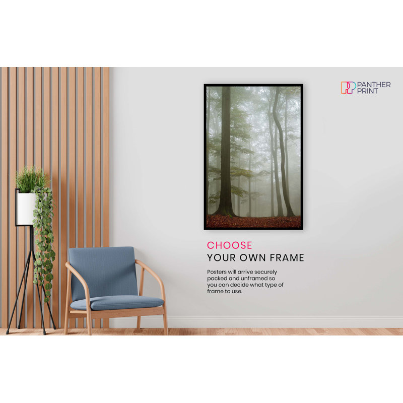 Forest Tall Trees - No Frame Print, 31cm H x 20cm W