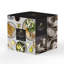 Stoneware Dinnerware Set 16 Piece - Service for 4-1798543363