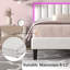 Lit plateforme Breella-968817851-972807273