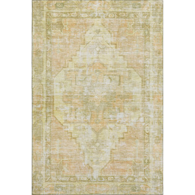 Premium Machine Washable Lucchesi AMF1729 Global Rug