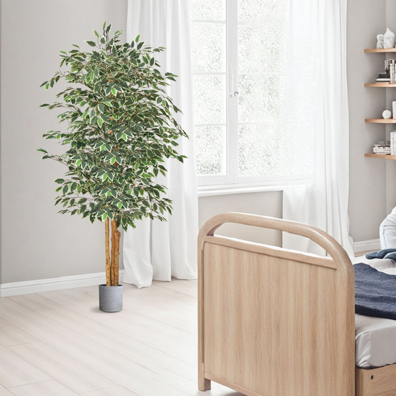 Faux Ficus Tree in Pot, 182.9cm x 88cm