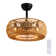 Erilynn 20'' Boho Caged Ceiling Fan with Light Kit and Remote Control Included