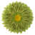 Lime Green-Velvet