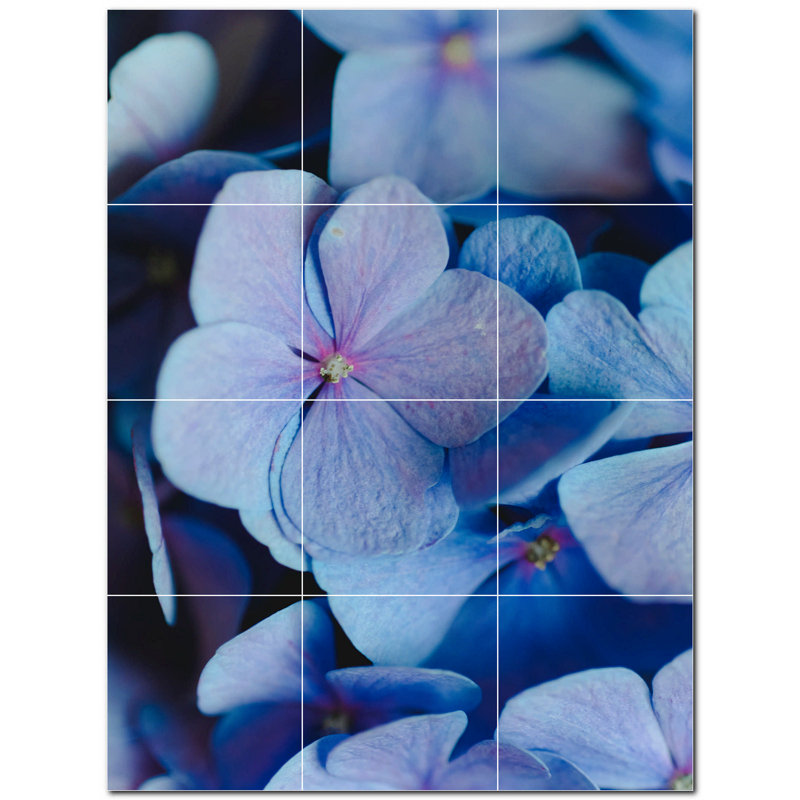 Fleurs photo 6 x 6