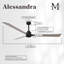 Ventilateur de plafond Alessandra 72-63956783-9636484