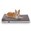 Traversin géant pour chien-757112812-757112811