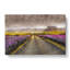 Road To A Church In Iceland - Wrapped Canvas-56639111