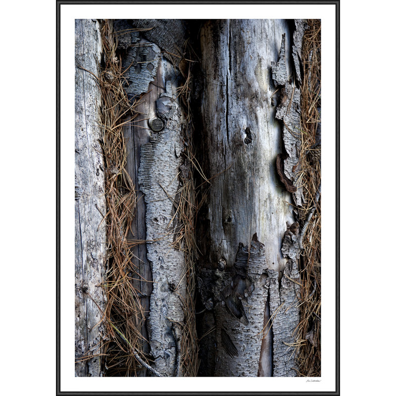 Single Picture Frame Print