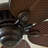 Benedict 52" W 5-Blade Ceiling Fan-2100549709