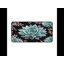 Polyester Desk Pad-382736162