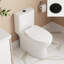 Toilette allongée une pièce à double chasse avec surface émaillée Ally-105449775-100041679
