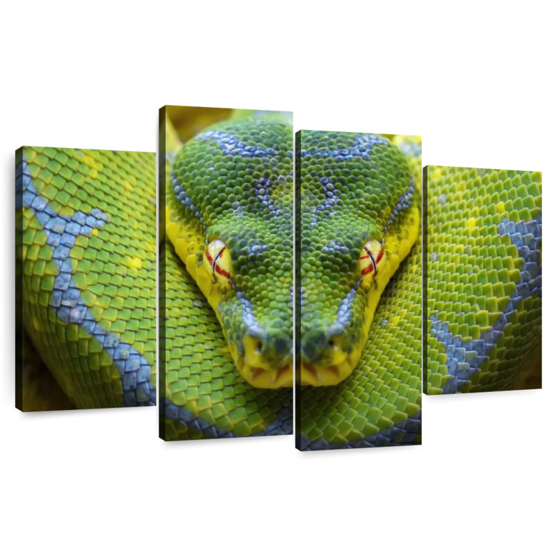Brampt Fierce Green Tree Python, 48"H x 75"W