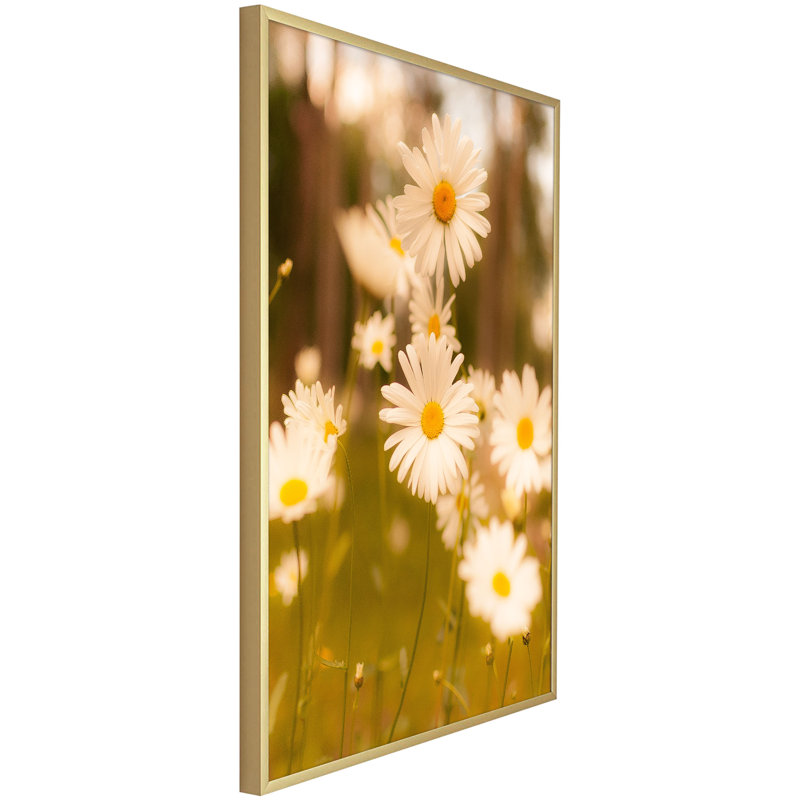 Ayden Metal Poster Picture Frame  with Real Glass, 24" H x 20" W x 1.81" D, Gold