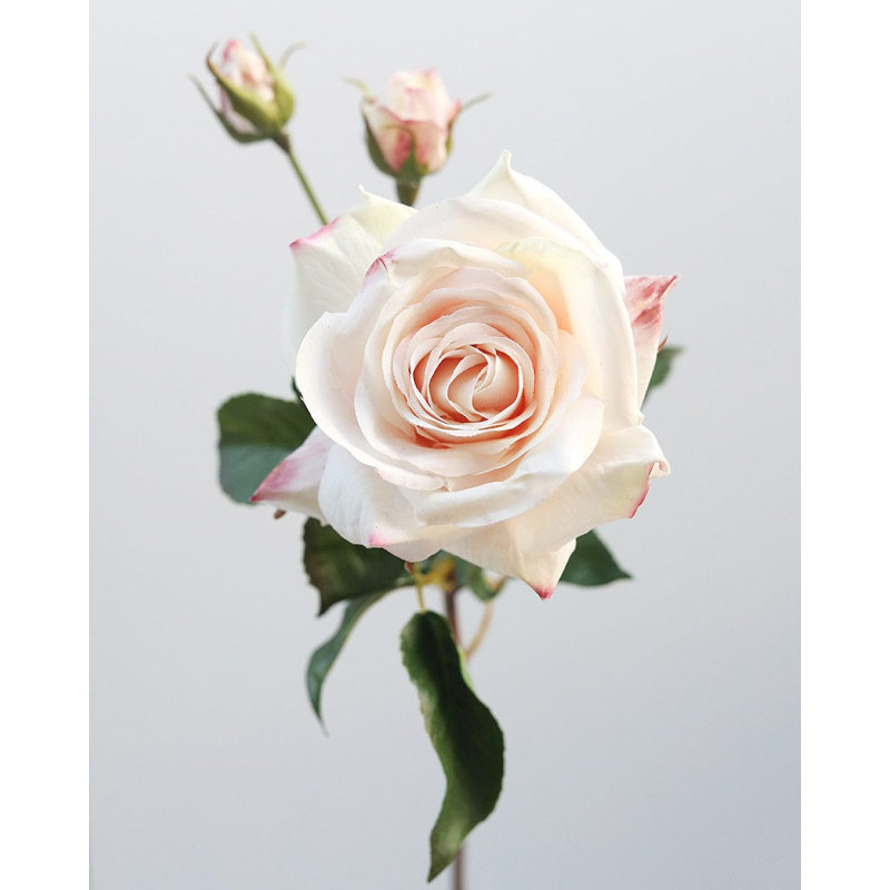 Real Touch Prestige Soft Yellow Rose 22", Pink