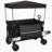 Collapsible Foldable Extended Wagon with canopy