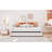 Twin Daybed In Beige With Ergonomic And Flexible Portable Collapsible Expandable Storage Trundle Size Removable-1257733002