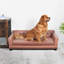 Canapé pour chien-73385419