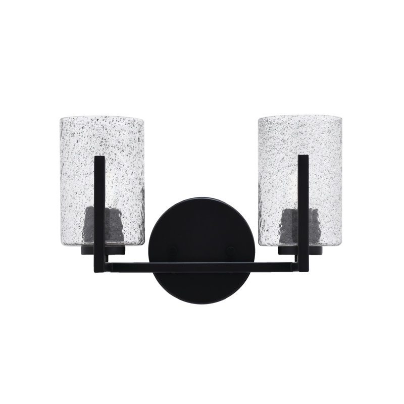 Barre d'éclairage de salle de bain 2 lumières Dayberry avec verre à fumée 4 po, Noir mat