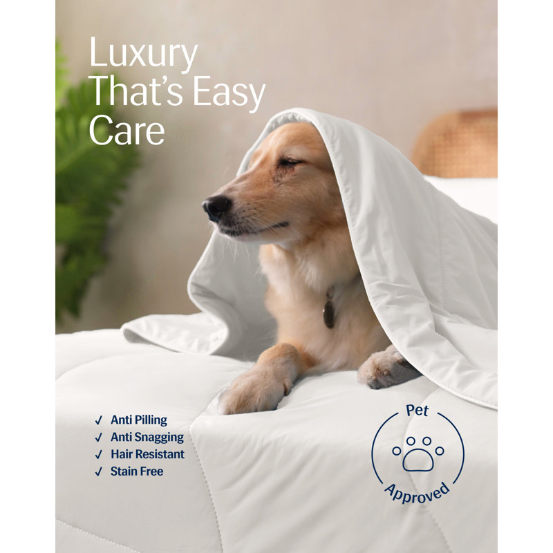 REST Evercool Award-Winning Cooling Comforter – Ultra Soft, Breathable, Lightweight, Hypoallergenic, All-Season Comforter for Hot Sleepers, Machine Washable
