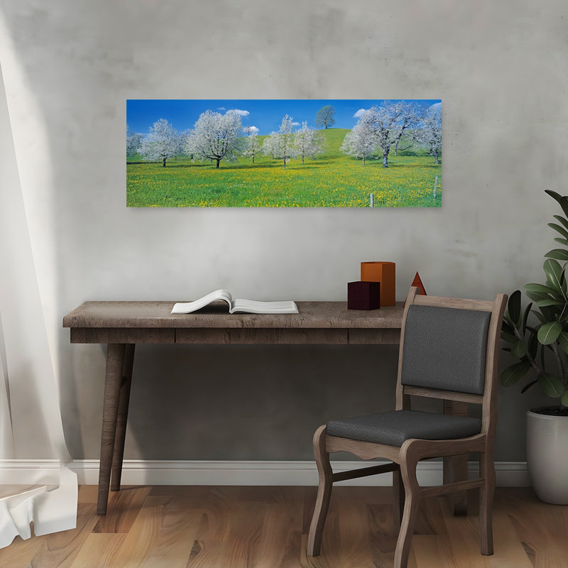 View Of Blossoms On Cherry Trees Zug Switzerland by Bo Brännhage - Wrapped Canvas Panoramic Print, 30.48 cm H x 91.44 cm W