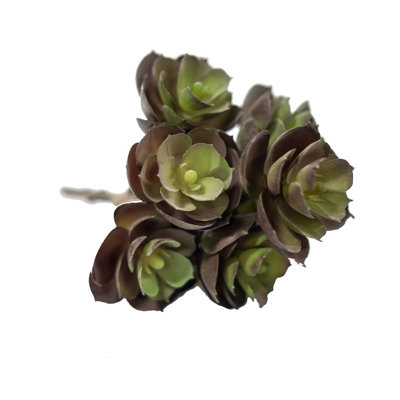 Ensemble de succulent sedum artificiel 3