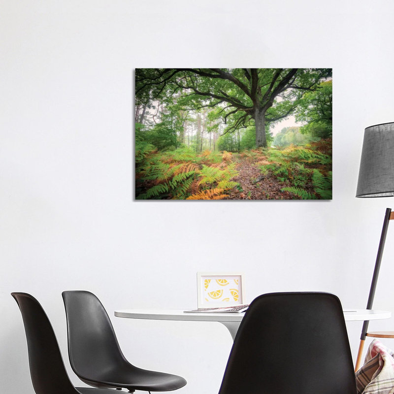 The Protector Oak Tree by Philippe Manguin - Wrapped Canvas Painting, 66.04cm H x 101.6cm W x 1.905cm D