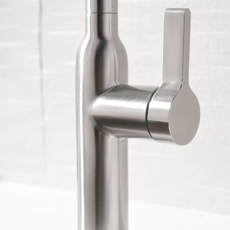 RAEN Daisy Pull Down Kitchen Faucet