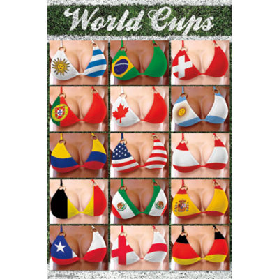 Affiche de la Coupe du monde (22 X 34)