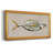 Fresh Fish Study I " Fresh Fish Study I "-569396026