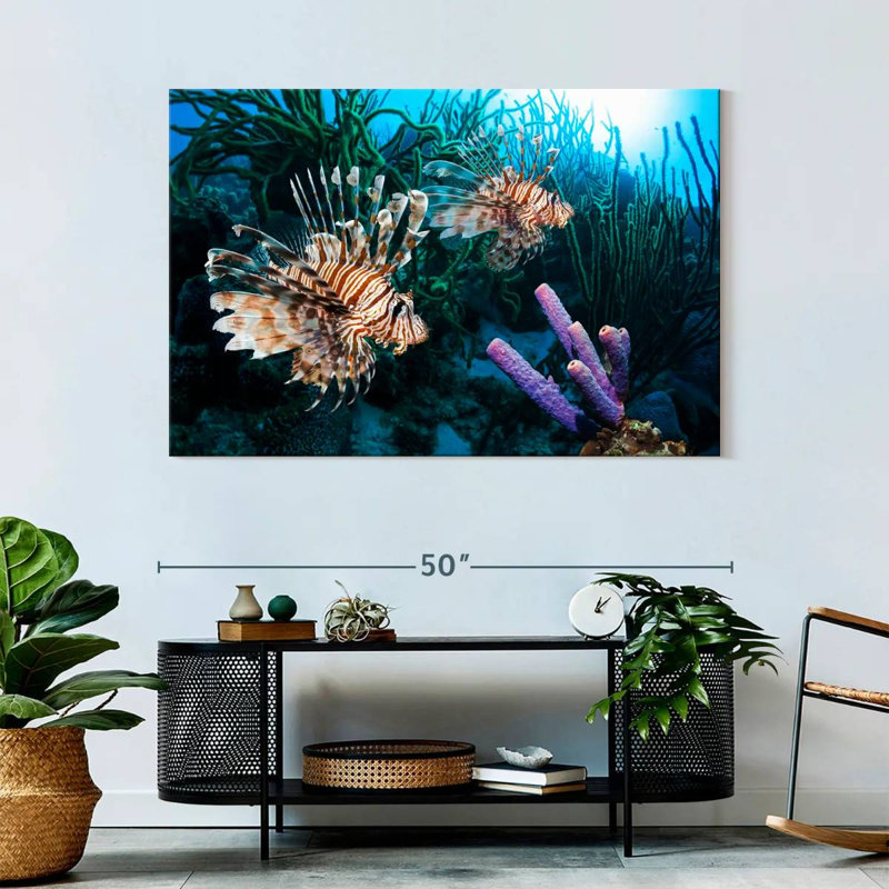 Brampt Atlantic Ocean Lionfish, 32" H x 48" W