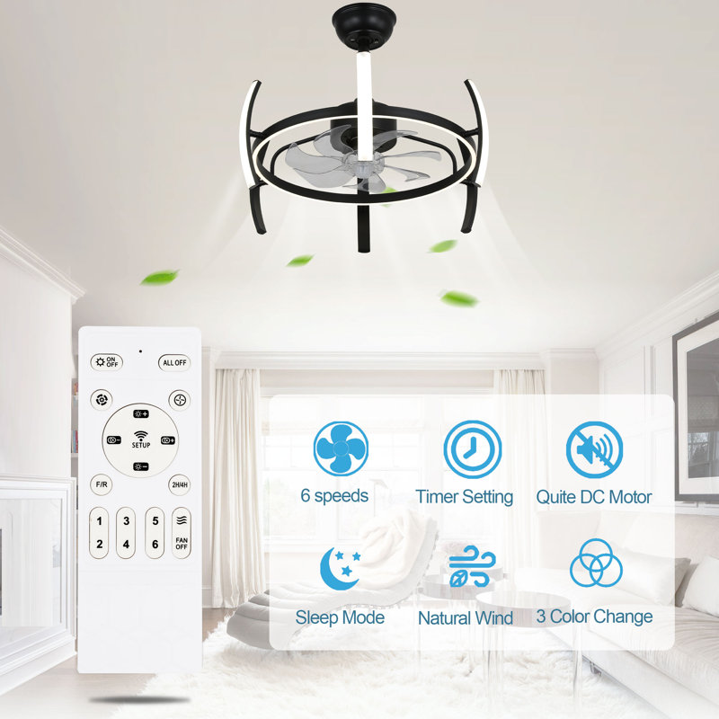 Ludovico 24" DIY Shape Adjustable Ceiling Fan with Lights Remote and APP Control, Black