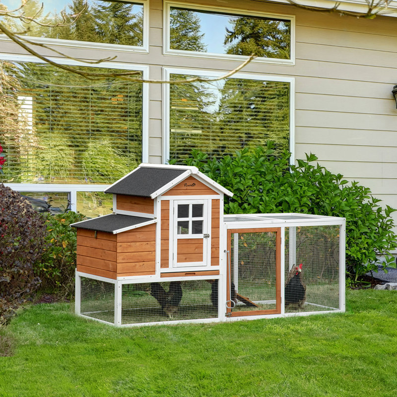 Grand poulailler imperméable pour 2 à 4 poulets, orange
