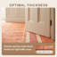 Tapis Rapids2 moderne, minimaliste, à bordure géométrique orange, rouge et crème, lavable à la machine, antidérapant, à poils courts, pour l'intérieur et l'extérieur, adapté aux animaux domestiques, idéal pour le salon, la chambre, la salle à manger, l'entrée, le couloir ou le bureau.-1109058932