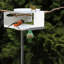 Vejtsberg Metal Modern Architecture Birdbath