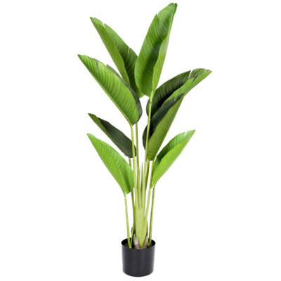 120cm Plant