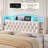 Hydraulic Lift Up Storage Upholstered Platform Bed With LED Storage Headboard, Contemporary Style-160798778